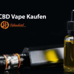 Zoe Saldana: Die unangefochtene Königin des modernen Kinos